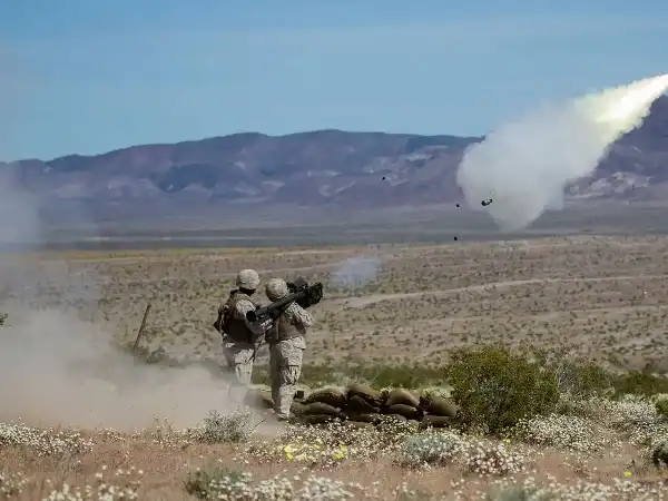 Raytheon signs MOU with DD for Stinger